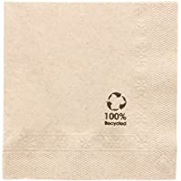 4800 Unidades - García de Pou 143.70 Servilletas Ecolabel- 2 Capas- 18 G-M2- 20 x 20 cm- Natural